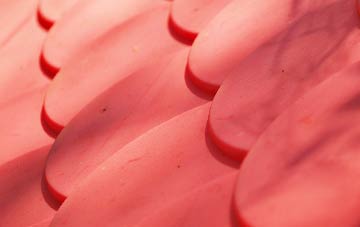 Biglands plastic roof costs